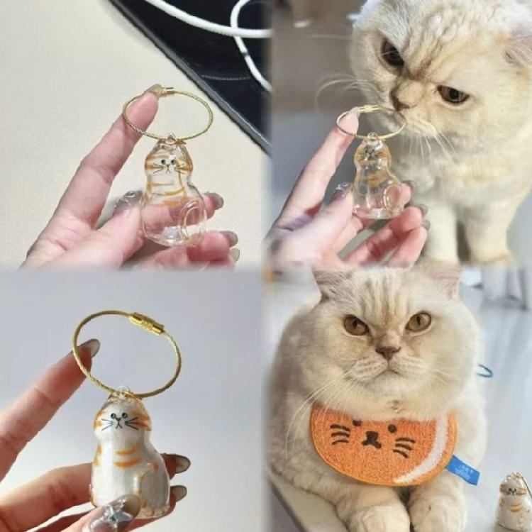 Safe Animal Shape Gift Box Visible Compartment Pet Hair Holders  Lovely Design Storage Box 6PCS