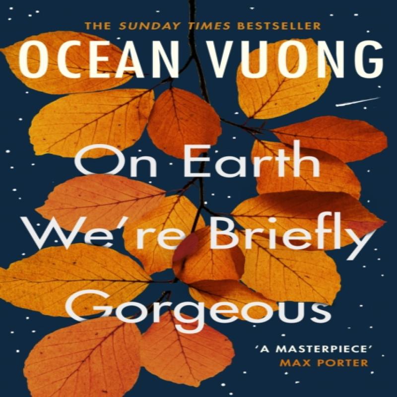 Auf der Erde waren wir kurz wunderschön von Ocean Vuong Taschenbuch 9781529110685