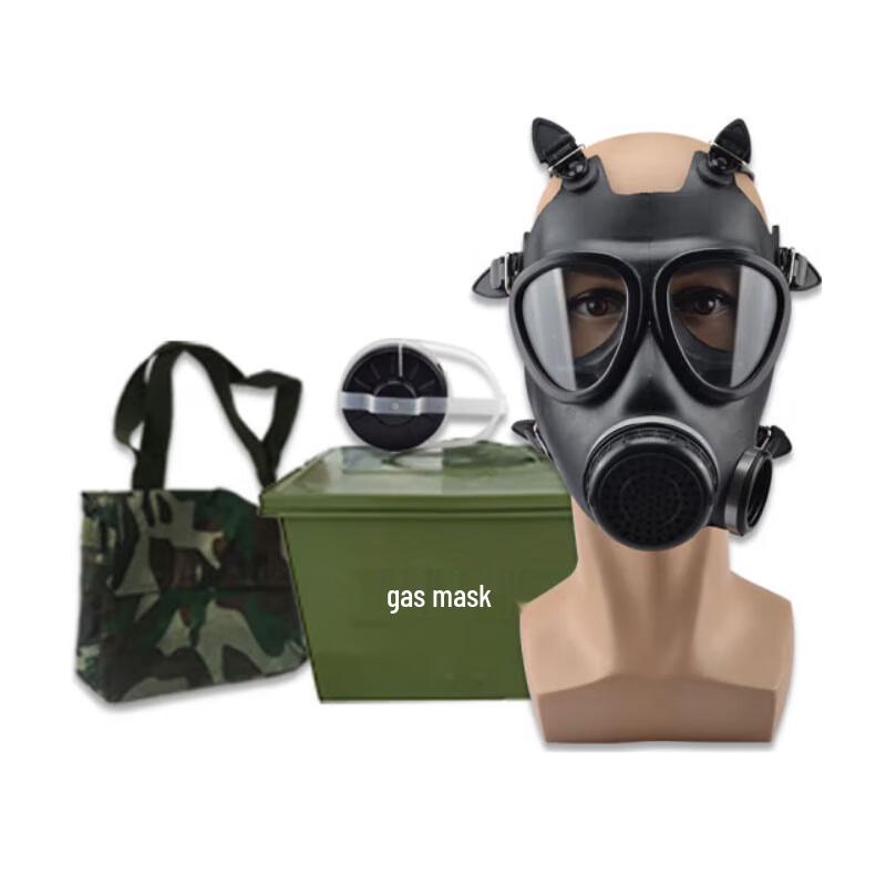 Lieyinghui FMJ05 Full-Face Gas Mask Kit