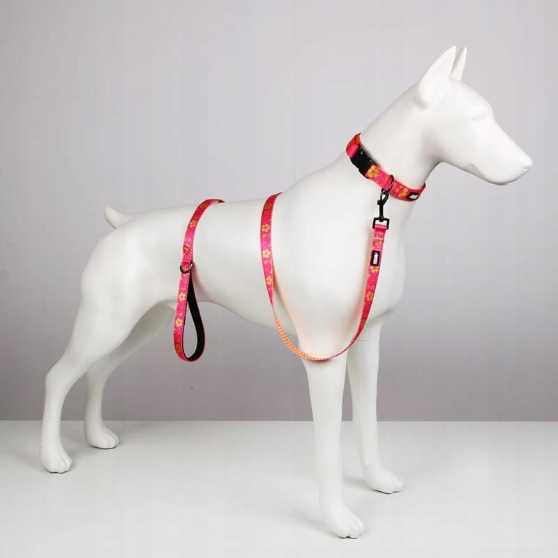 Smycz dla psa krótka 1.5m kolorowa miejska beagla jamnika huggy doggy m