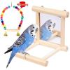 Parrot Mirror with Prickly Ash Wood Perch and Swing Toy