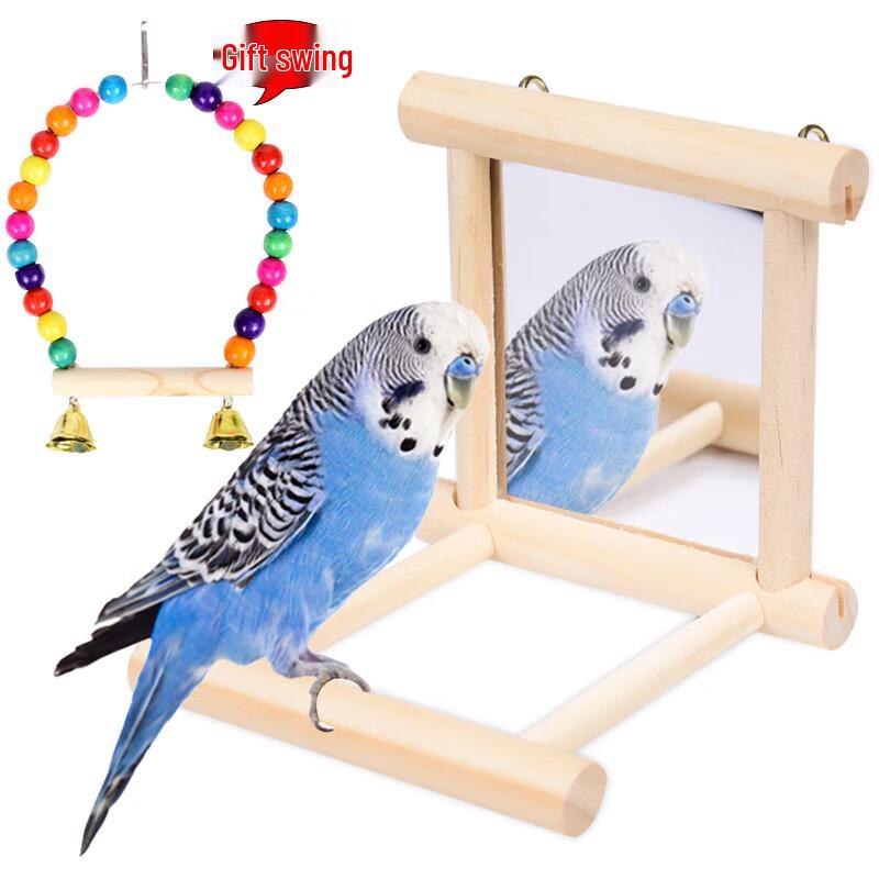 Parrot Mirror with Prickly Ash Wood Perch and Swing Toy