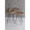 Center Table And Nesting Table Walnut Set Wire Leg Ellipse