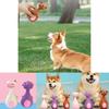 Durable And Entertaining Squeak Toy For Dogs In Attractive Cartoon Shapes And Styles