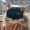 Prank Funny Black Bat/White Styling Pet Cat Photo Mask, Easter Halloween Masquerade Party Pet Supplies
