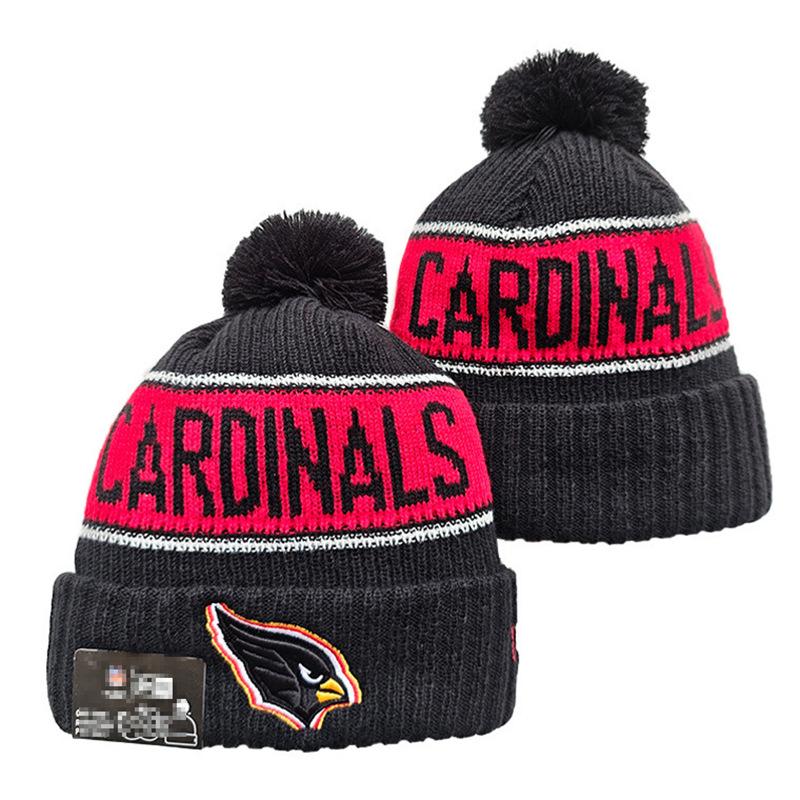 Lion Rugby Knit Hat, Dolphin Outdoor Warm Sun Hat, 49ers Hip Hop Ear Protection Hat