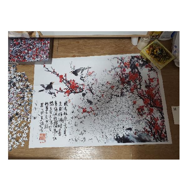 [1000 Stück Puzzle 73,5 x 51 cm] Korea Mejodo Dasan (Kinder Adult Puzzlespielzeug Piece Diy)