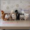Kitten Simulation Animal Set: Four Sets of Five Cat Ornaments for Home Décor