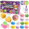 New Mystery Box Advent Calendar, 24pcs Soft Surprise Dumplings, Anxiety Relief Bao Bun for Adults, Stress Relief Sensory Gift