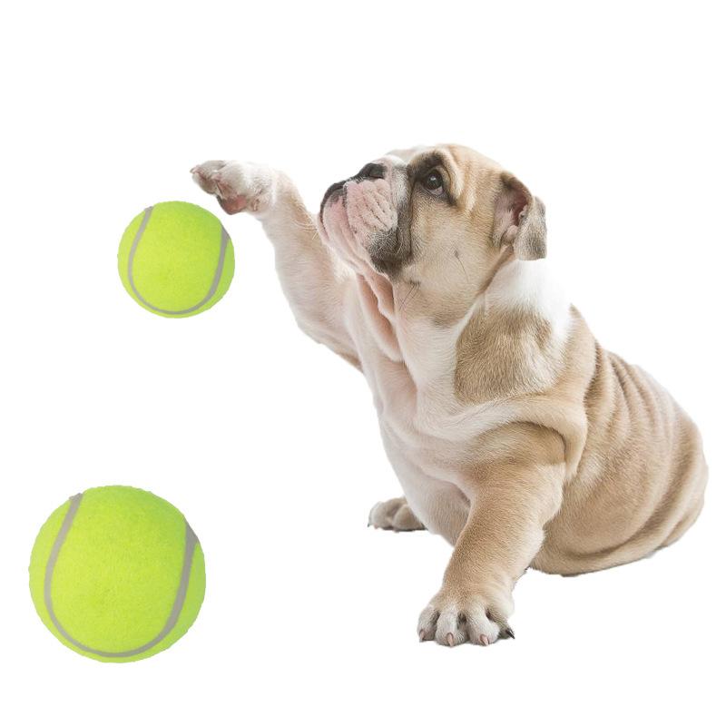 Pet Tennis Toys Level 2 Dog Tennis Micro Elastic Rubber Ball Dog Ball Bite Dog Training Supplies