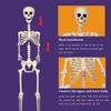 5.4FT Halloween Life Size Skeleton Halloween Skeleton With Movable Joints Realistic Full Body Skeletons For Halloween Props Spooky Party Decoration