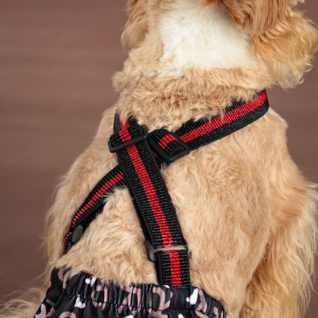 Large Dog Physiological Safety Suspenders - Female Dog Menstrual Anti-Harassment Pants