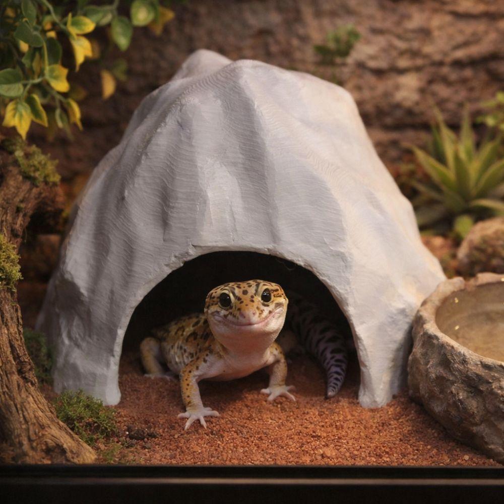 Stable Reptile Habitat Realistic Hidden Cave Shelter for Lizards Turtles