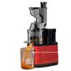 Automatic Small Household & Commercial Juicer with Pulp Separator