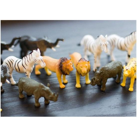 JollyThinkers Animal King Wild Safari Awaken your survival instinct board game, popular Korean game