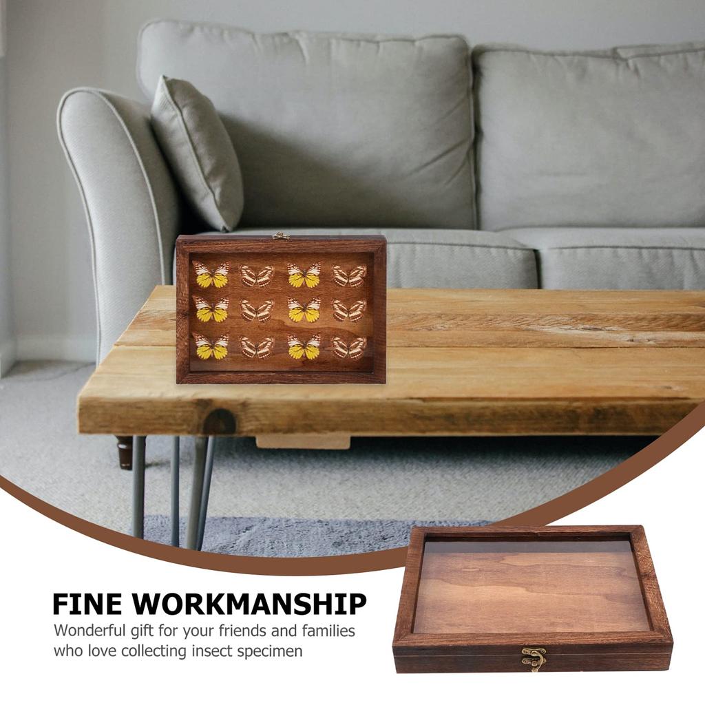 Cabilock 1-Piece Butterfly Specimen Display Case with Lid, Wooden Specimen Box