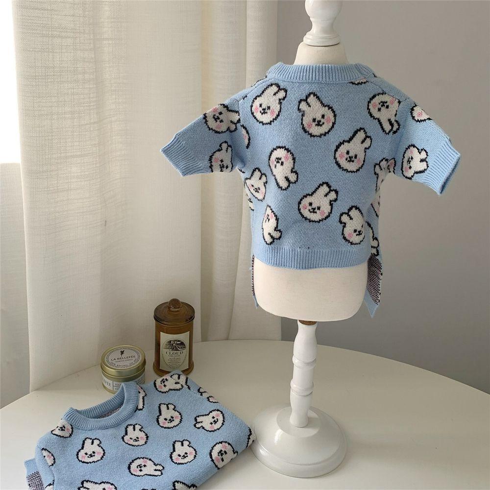 Clothes Dress Up Autumn and Winter For Small Dogs Pet Supplies Dog Clothes Cat Sweater Dog Sweater