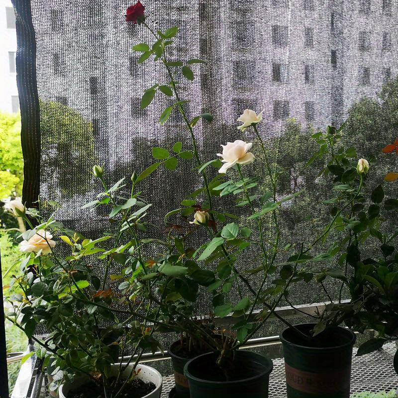 Protect Your Outdoor Space with This 1pc Anti-UV Sun Shade Net Gazebo Shelter Canopy!