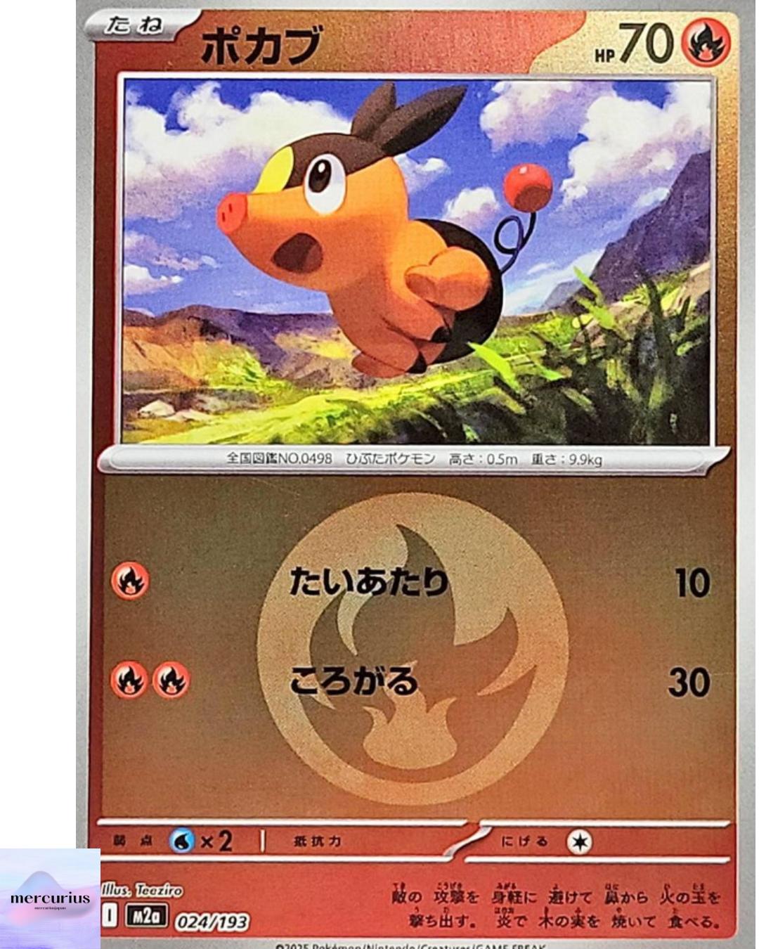 Tepig (Fire Energy Foil) 024/193 M2a MEGA Dream ex Pokemon Card Japanese MEGA NM