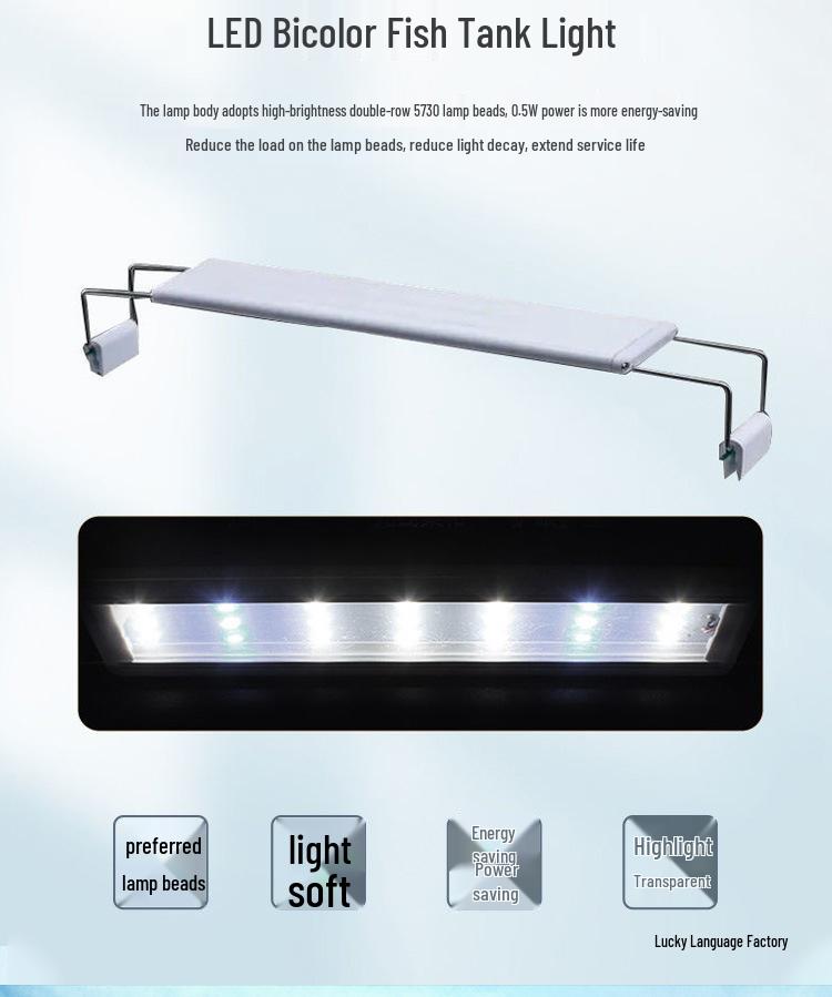 Mini Eco Fish Tank: Hot-Bent Glass, Desktop Goldfish Betta Aquarium, Water-Free Design for Living Room