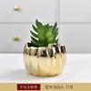 Electroplated Golden Ceramic Succulent Flower Pot Home Decor Horticultural Potted Creative Tabletop Plant Pots Floral Utensils