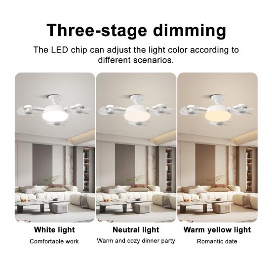 Ceiling Fan Light with 3 Color Temperature Adjustable Brightness LED Bulb Quiet Fan Combo Low-noise Operation Fan Light Fixture