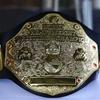 World Heavyweight Wrestler Champion In Wwe, The Big Gold Belt For Carrying Display