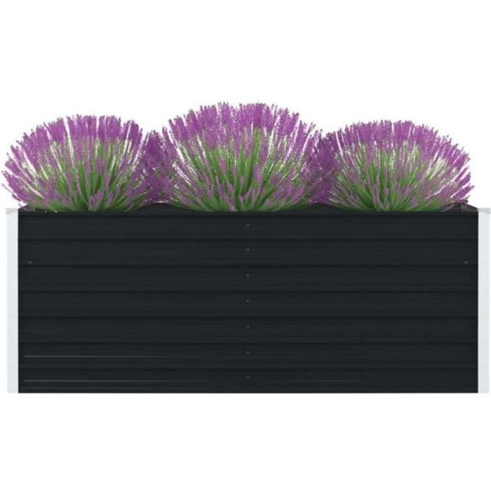 VidaXL Jardinière 160 x 80 x 45 cm Acier galvanisé Anthracite