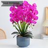 Artificial Phalaenopsis Floral Arrangement for Living Room Display - Potted Decoration for TV Cabinet