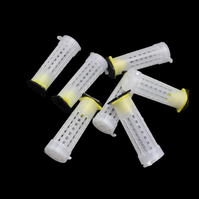 10Pcs Beekeeping Bee Plastic Queen Rearing Cage Cup Box Protection Cover Catcher Protective Base Bees Tools Supplies Equipment