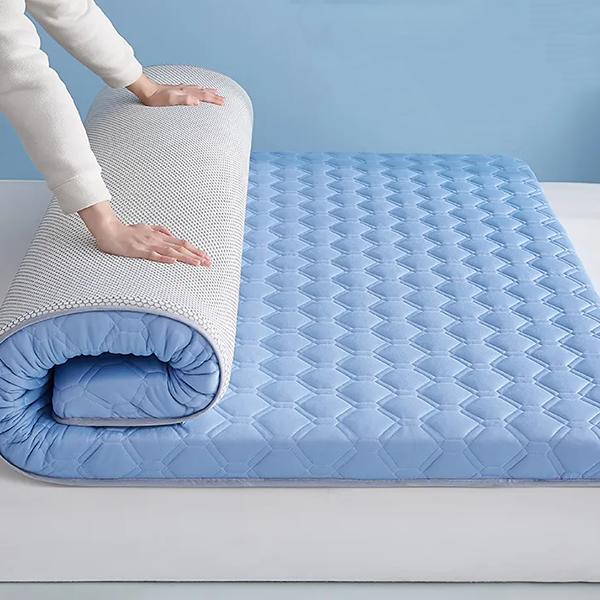 WTEMPO Soft Home Double-sided Bed Mattress Solid Color Thickened Single/Double Mattress Cushion Quilts Warm Winter Single Student Dormitory Mattress