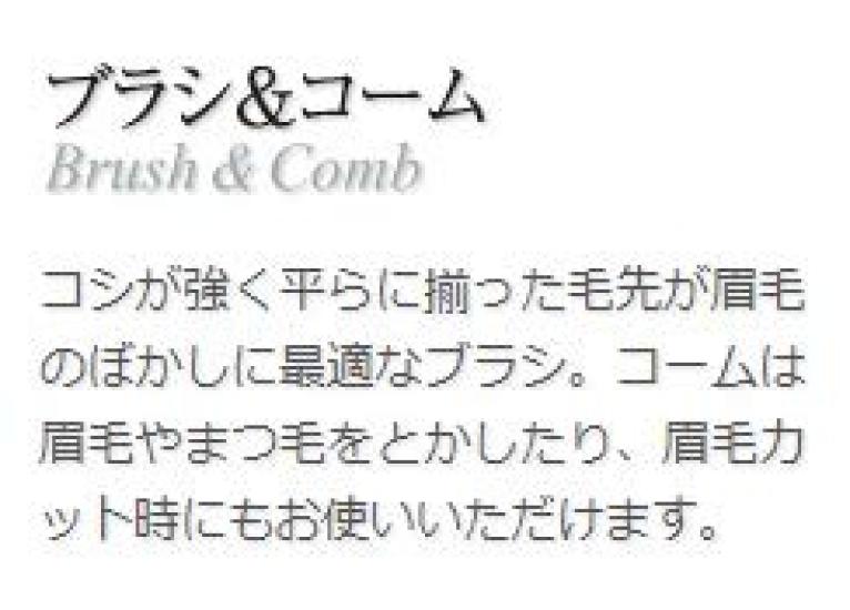 CHIKUHODO Kumano Makeup Brush Chikuhodo Regular Series Brush Comb Horse Red Line (Makeup Brush) & Brush, Design, RR-B2,