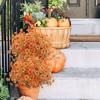 10pcs Artificial Fall Flowers Real Looking Vibrant Colors No Fade Fall Fake Flowers for Farmhouse Home Garden Decoration