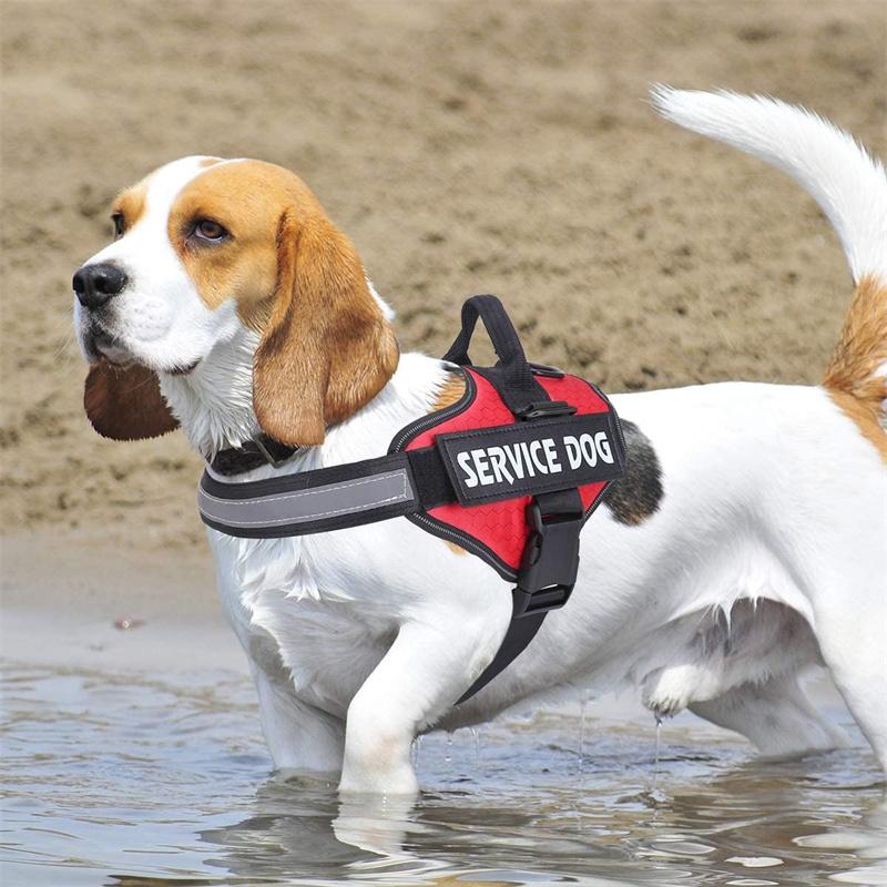 Szelki dla psa służbowego, bez ciągnięcia, łatwe zakładanie i zdejmowanie, odblaskowe, oddychające, 3M, łatwe w regulacji, odpowiednie dla małych, średnich i dużych psów