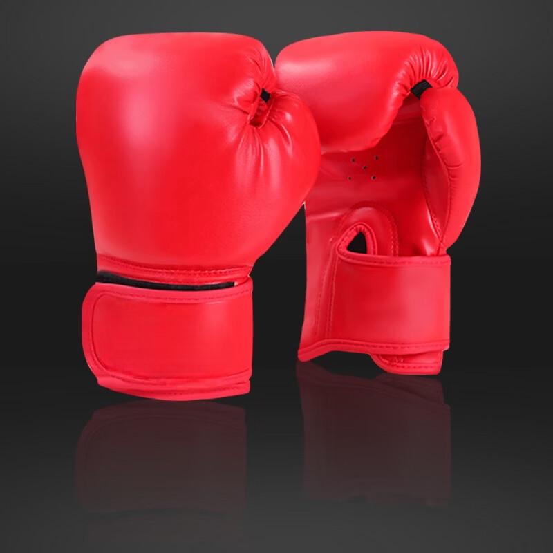 Professional Boxing Gloves