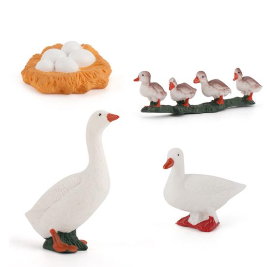 Model Toy Educational Design Early Simulation Plastic Animal Learning Growth Cycle Miniature