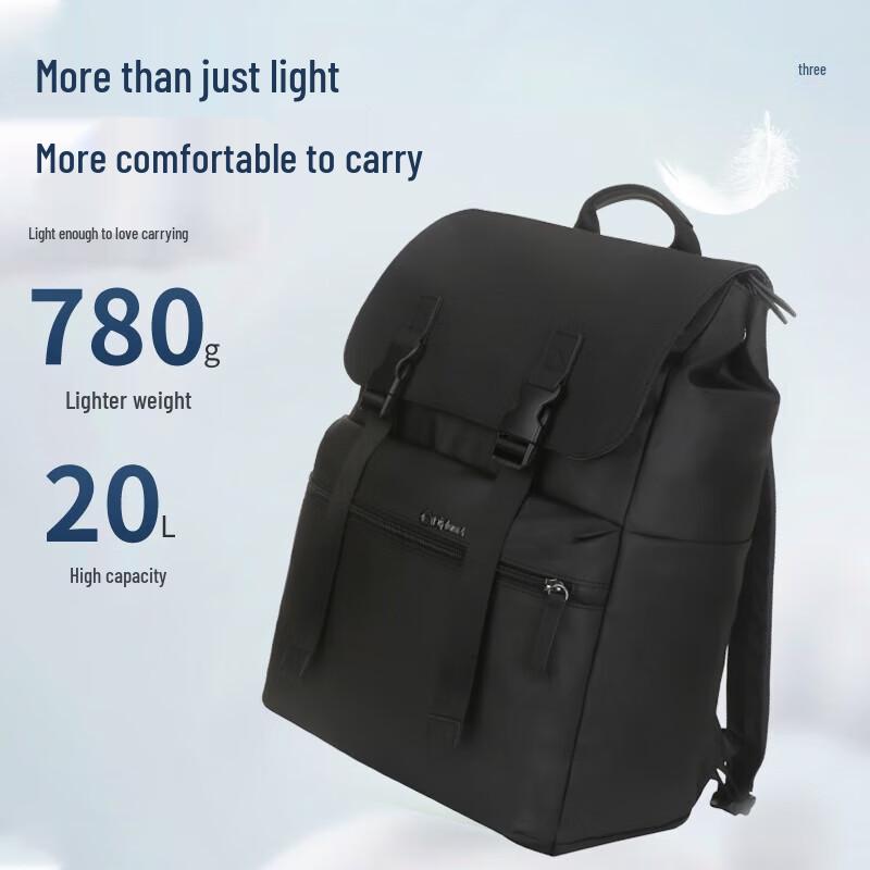 

Diplomat Business Travel Laptop Backpack