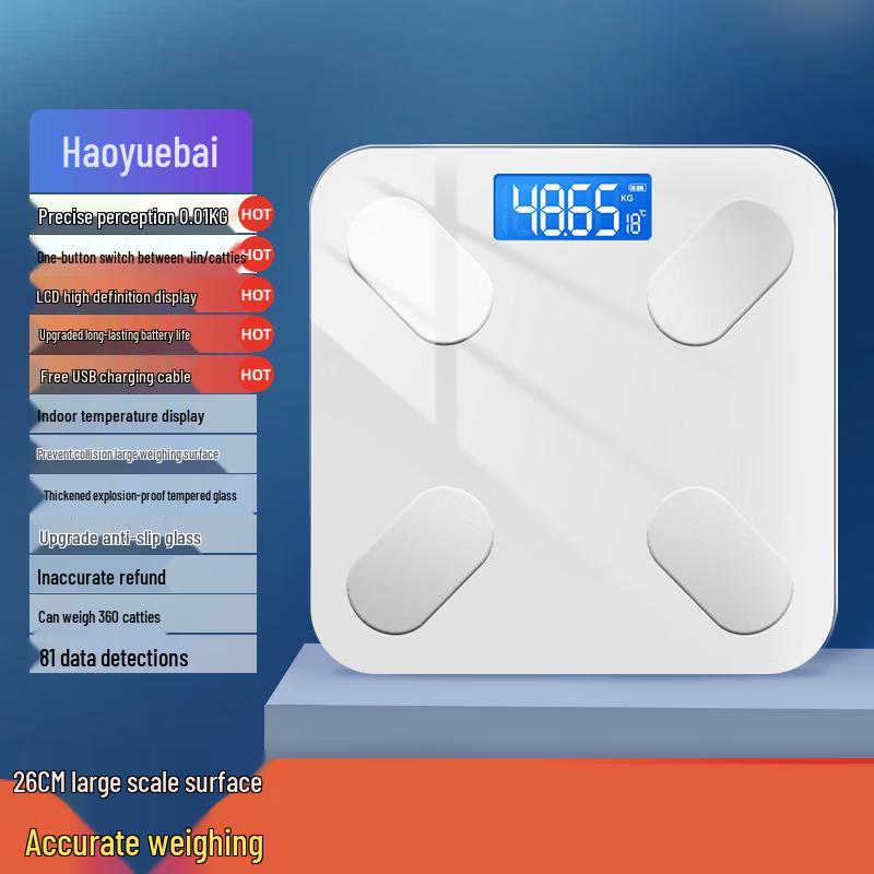 ZISIZ Smart Rechargeable Digital Body Weight Scale