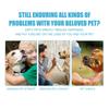 Yegbong Healthy Safe Pet Toothpaste Useful Dog Cat Teeth CleaningUseful Dog Cat Teeth Cleaning Pet Teeth Cleaning Supplies