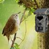 20MP/1080P Solar Trail Camera Waterproof Video Photo Recording Cam Wildlife Monitoring Camera for Outdoor Security