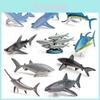 Miniature Marine Fish White Shark And Whale Replicas With Pvc Material For Educational Displays
