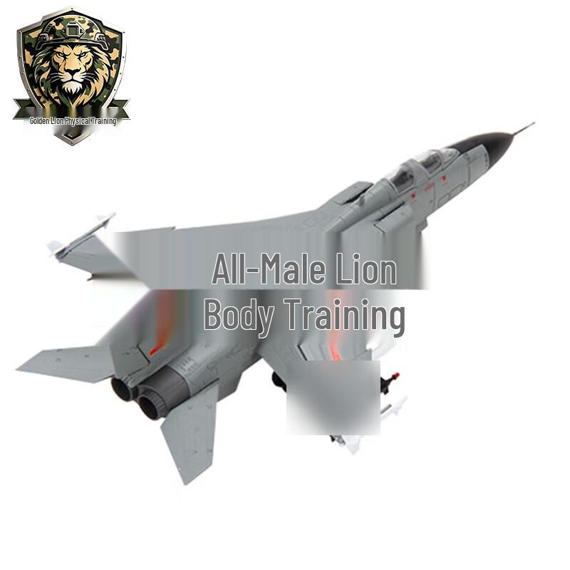 Golden Lion Series JH-7A Fighter Jet Model