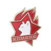 Creative Funny Cat Pins Russian Cat Star Brooches Russian Cat Brooch  Cat Lover Friends