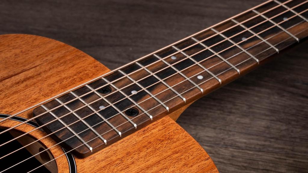 Taylor BT2e Baby Taylor Acoustic Guitar with Gig Bag Electric Acoustic Guitar (Official Import)