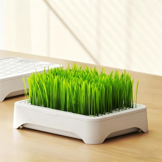 Hydroponic Cat Grass Kit with 5 Pack Seeds Soil Free Cat Grass Planter for Indoor Cats Wheatgrass Growing Kit Gift for Cat Lovers