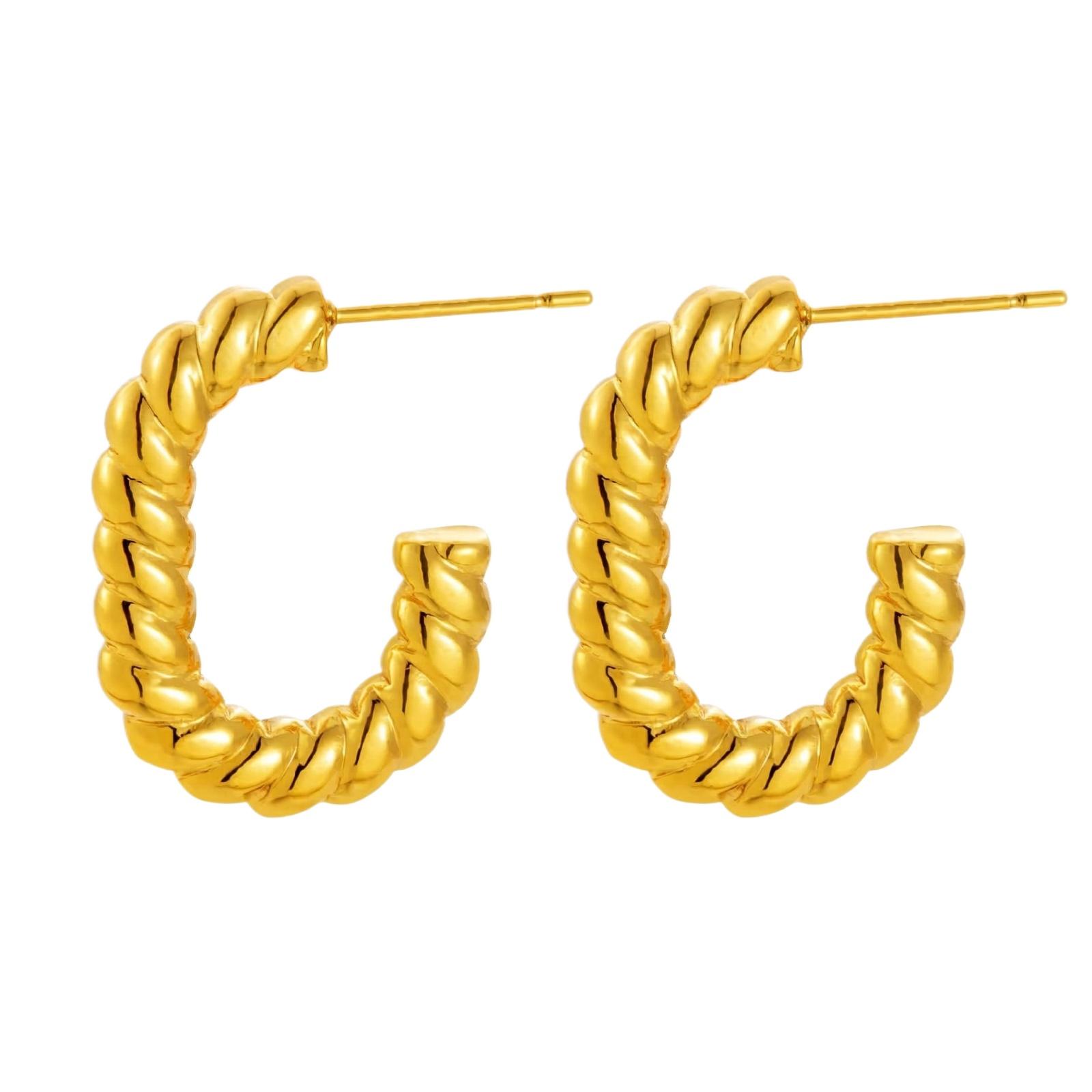 Stainless Steel Earrings for Women Vintage Luxury Stylish Titanium Steel Jewelry