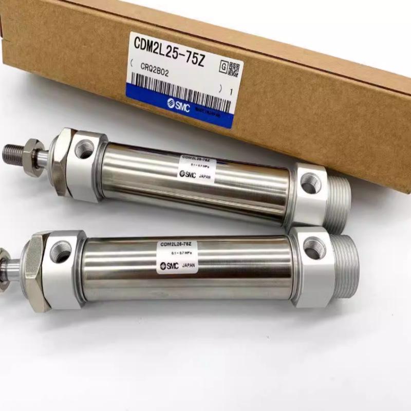 SMC CDM2B Mini Cylinder Series (25-300 Z)