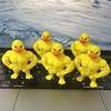 3D Funny Muscles Duck Fun Birthday Gift Office Living Room Decoration Ornament 3D Printed Crafts Angry Duck Gift