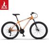 Phoenix ZB888 Disc Brake Mountain Bike