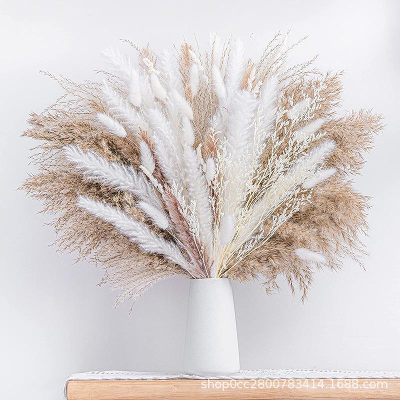 Small Reed Dried Flower Bouquet Small Whisk Pampas Reed Dried Flower Rabbit Tail